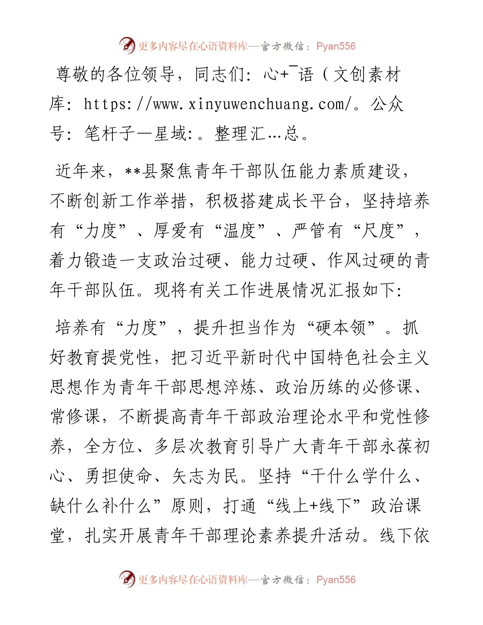 在全市青年干部队伍能力素质建设推进会上的汇报发言.docx_第1页