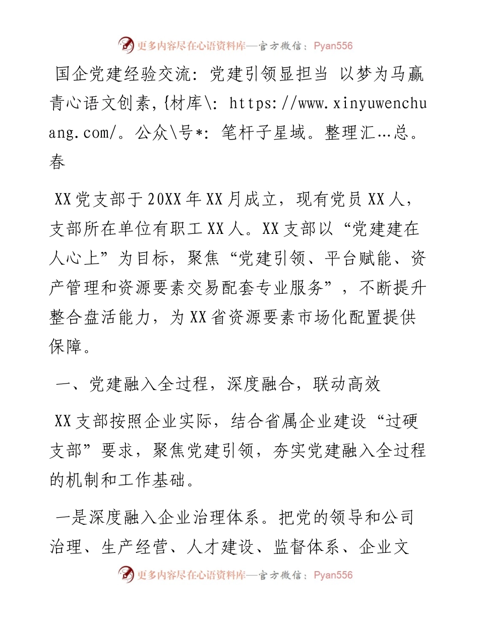 国企党建经验交流：党建引领显担当 以梦为马赢青春.docx_第1页
