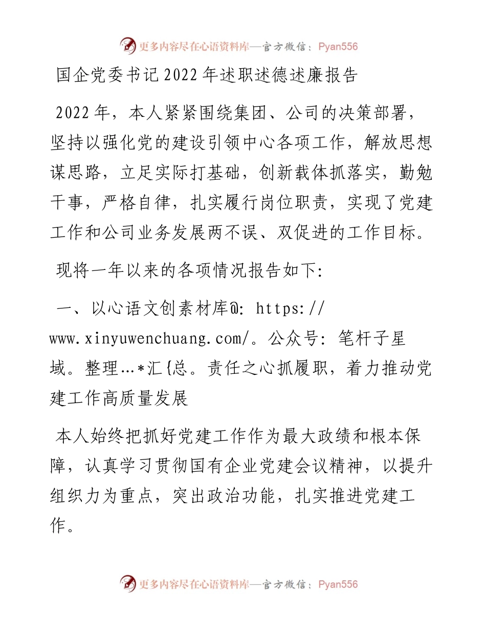国企党委书记述职述德述廉报告.docx_第1页