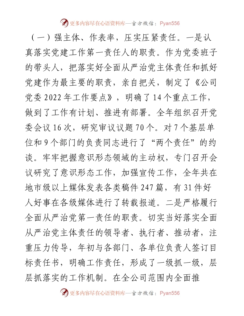 国企党委书记述职述德述廉报告.docx_第2页