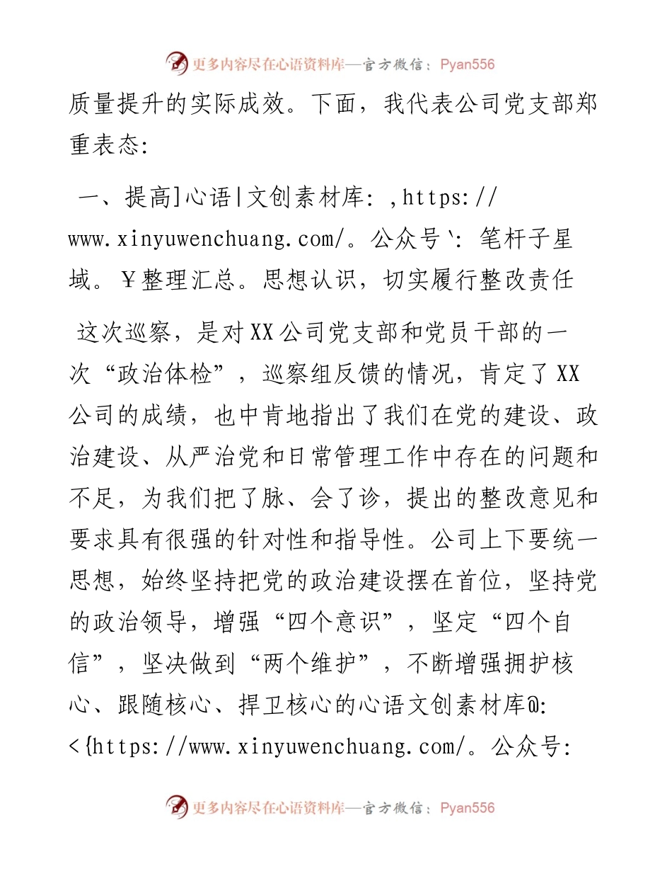 国企主要领导在巡察反馈会上的表态发言提纲.docx_第2页
