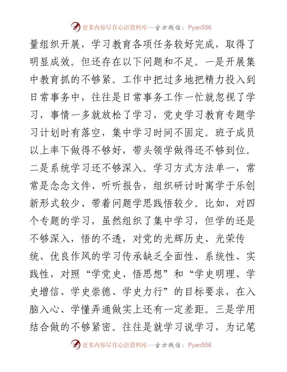 县政府办机关党支部党史学习教育专题组织生活会对照检查材料.docx_第2页