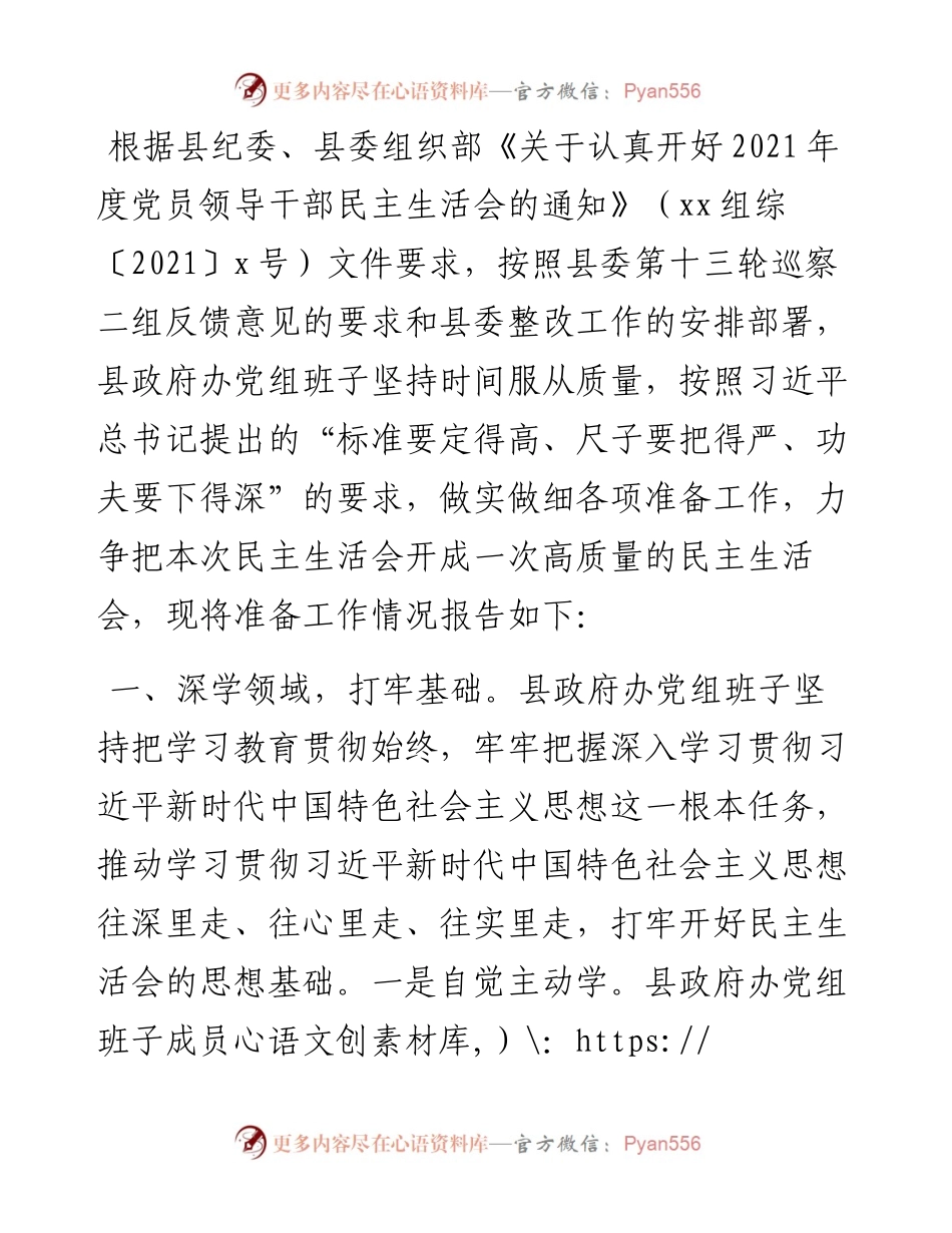 县政府办党组专题民主生活会准备工作情况报告.docx_第1页