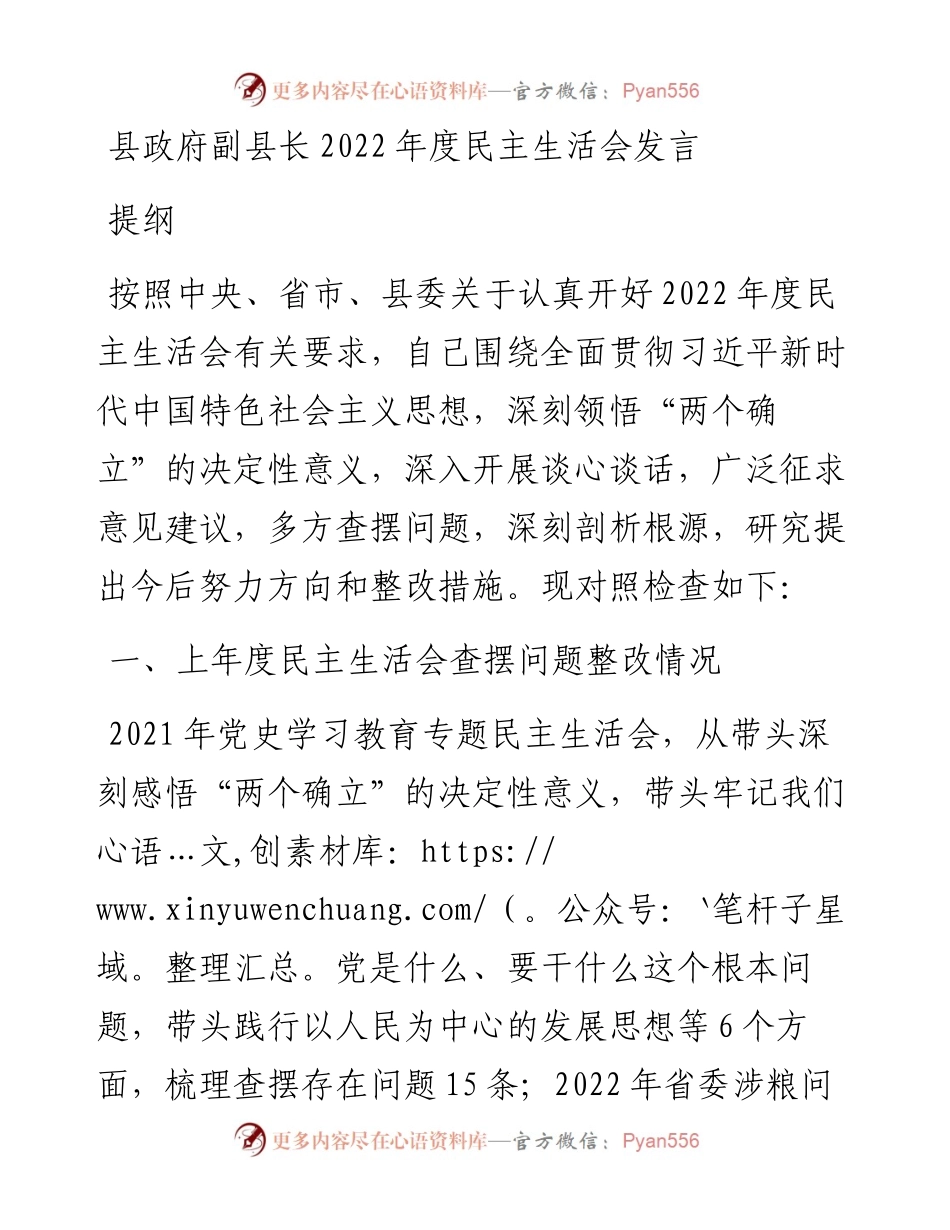 县政府副县长度民主生活会发言提纲.docx_第1页