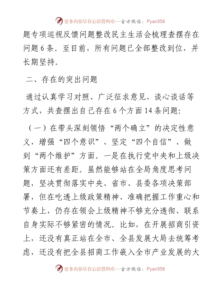 县政府副县长度民主生活会发言提纲.docx_第2页