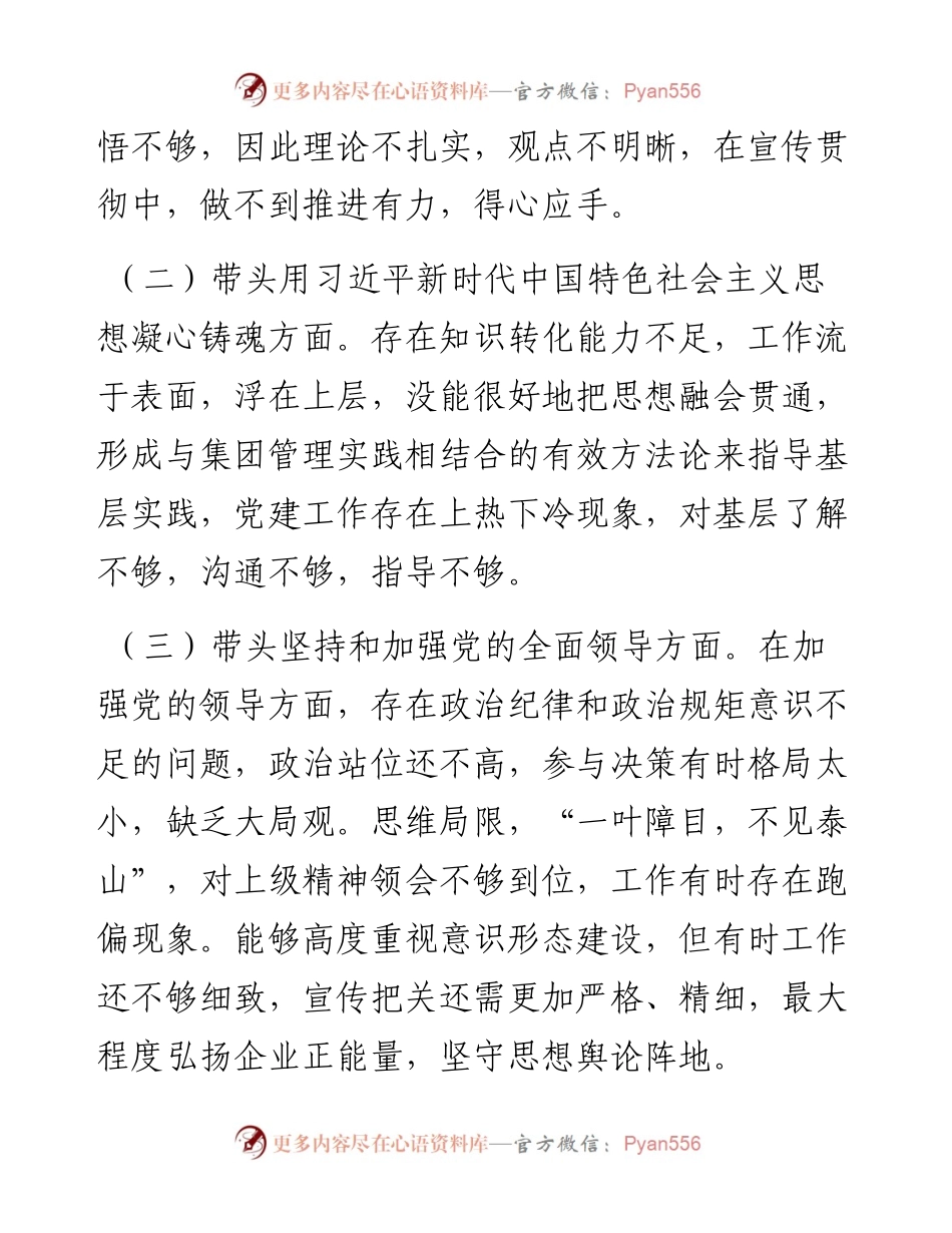 国企领导民主生活会发言提纲.docx_第2页