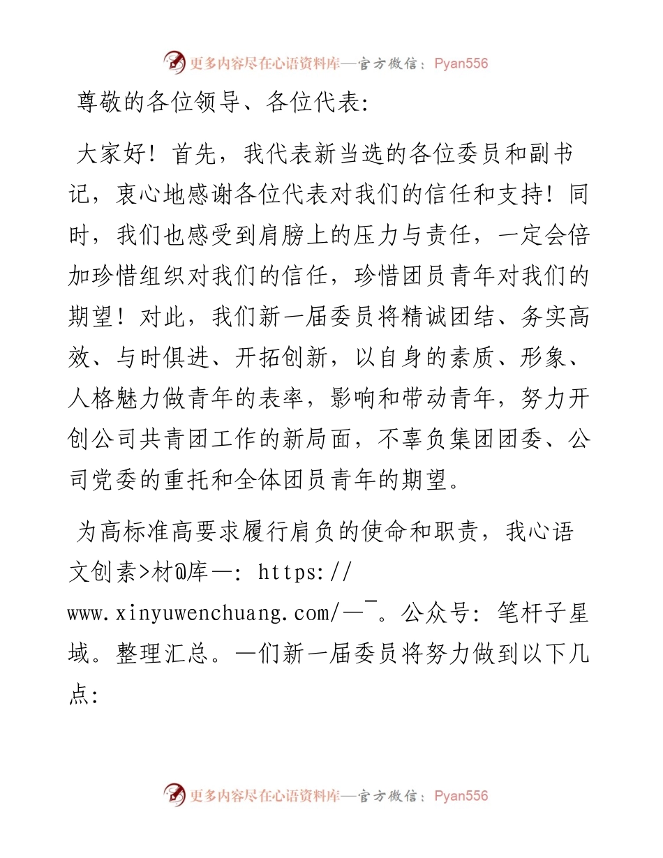 在公司团委第一次代表大会上的表态发言.docx_第1页