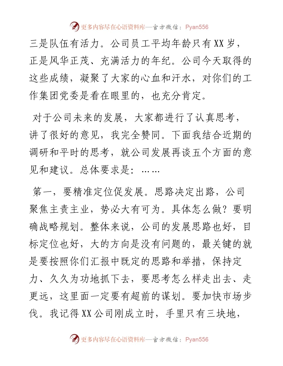 国企党委书记在调研子公司座谈会上的讲话.docx_第2页