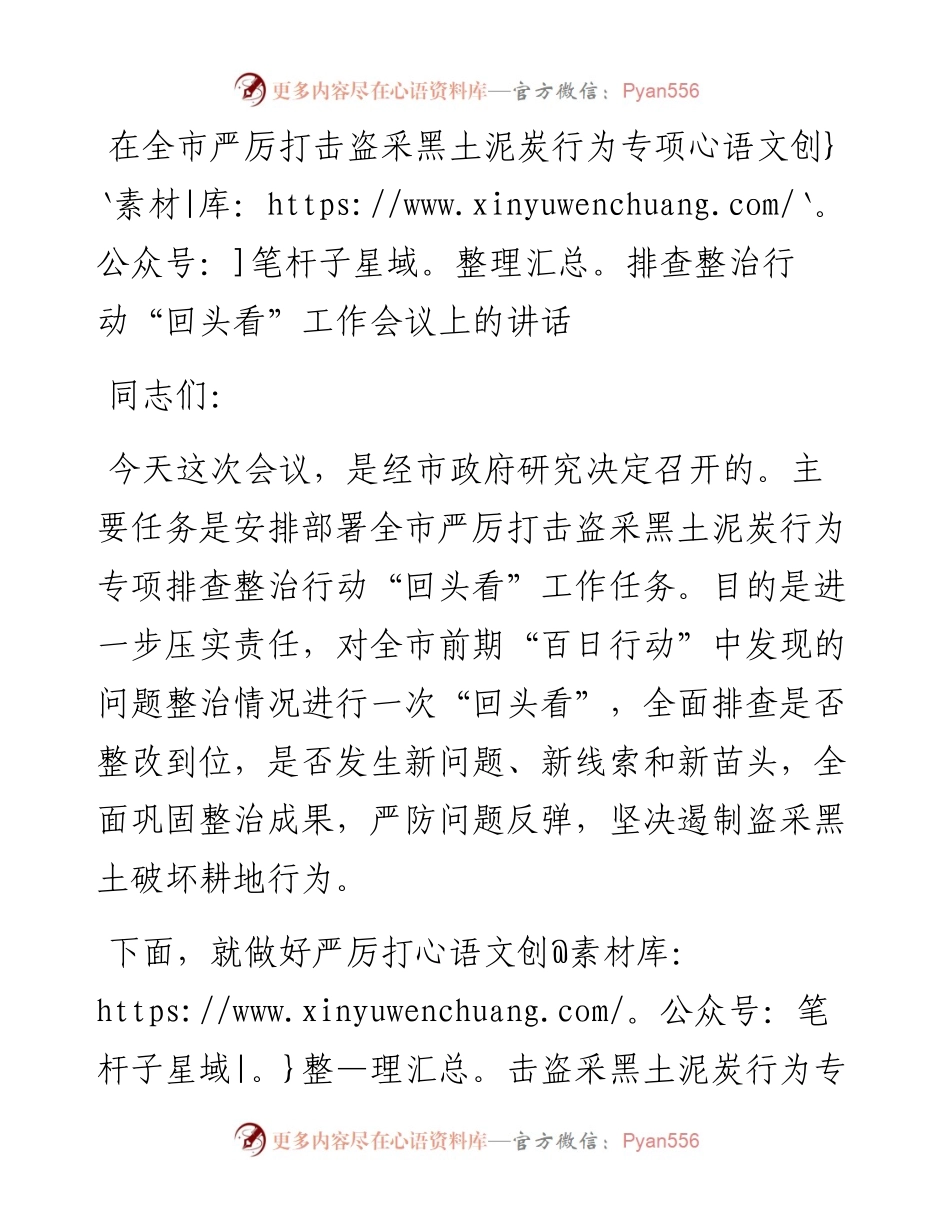 在全市严厉打击盗采黑土泥炭行为专项排查整治行动“回头看”工作会议上的讲话.docx_第1页