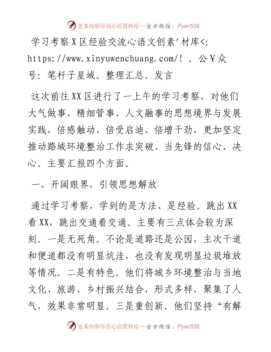 学习考察X区经验交流发言.docx_第1页