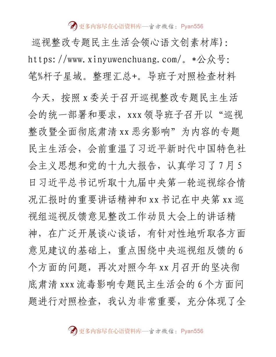 巡视整改专题民主生活会领导班子对照检查材料（巡察整改对照检查材料）（巡视整改对照检查）.docx_第1页