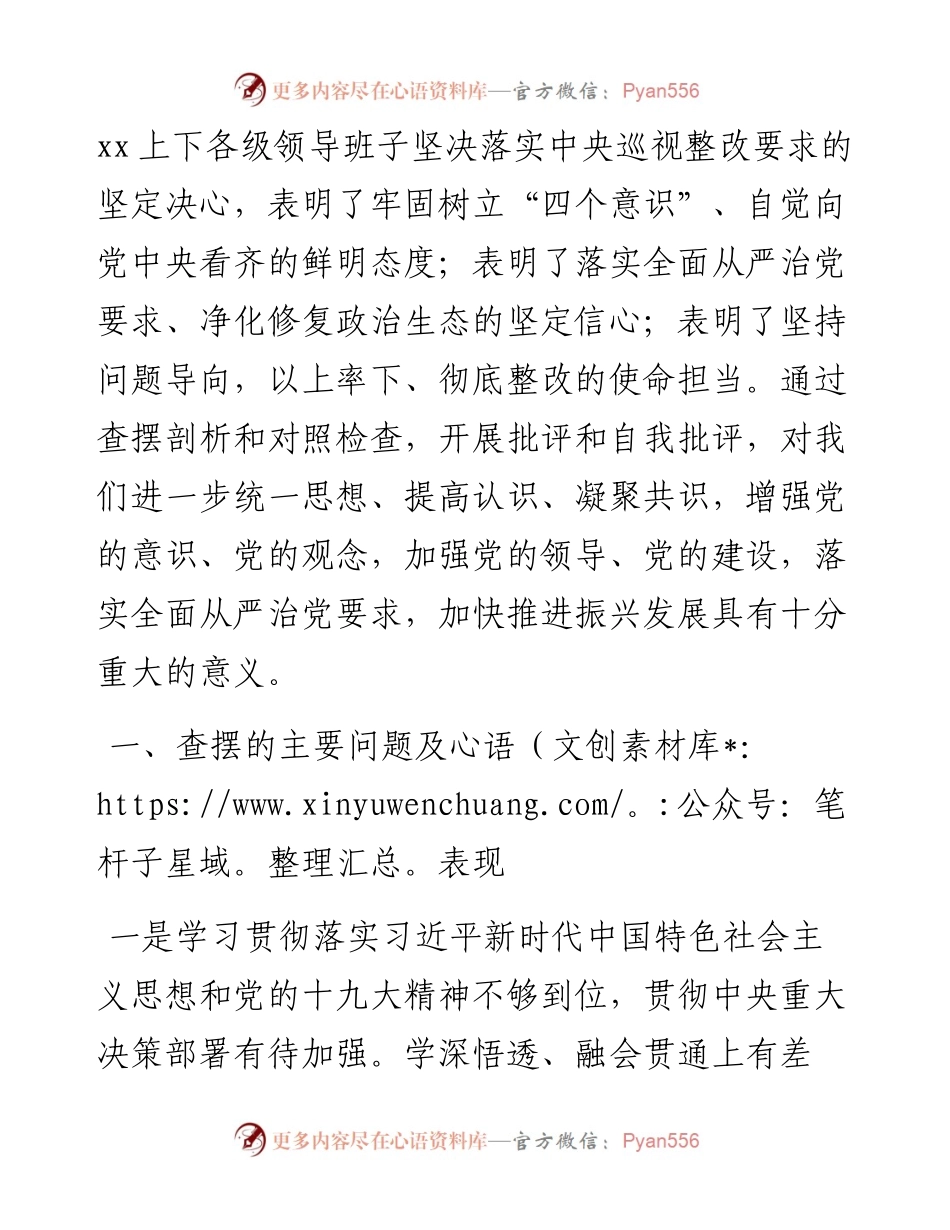 巡视整改专题民主生活会领导班子对照检查材料（巡察整改对照检查材料）（巡视整改对照检查）.docx_第2页