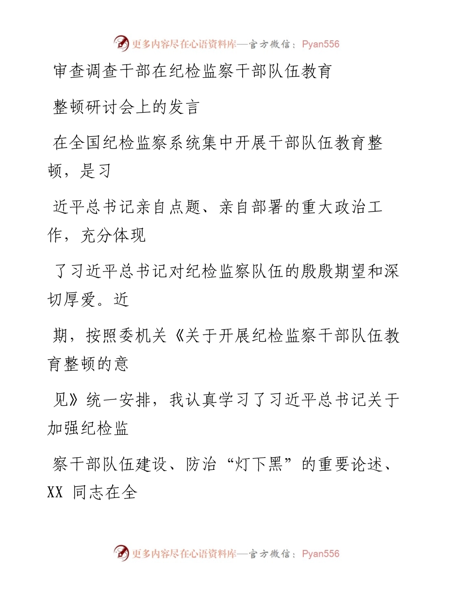 审查调查干部在纪检监察干部队伍教育整顿研讨会上的发言.docx_第1页