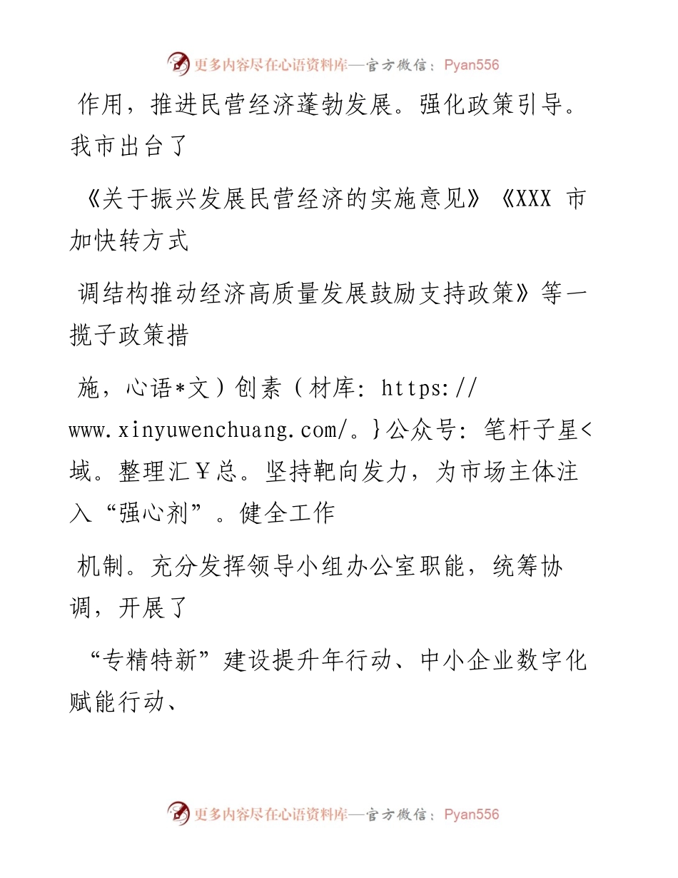 在市民营经济发展大会上的发言：聚力“四个坚持”助推民营经济高质量健康发展.docx_第2页