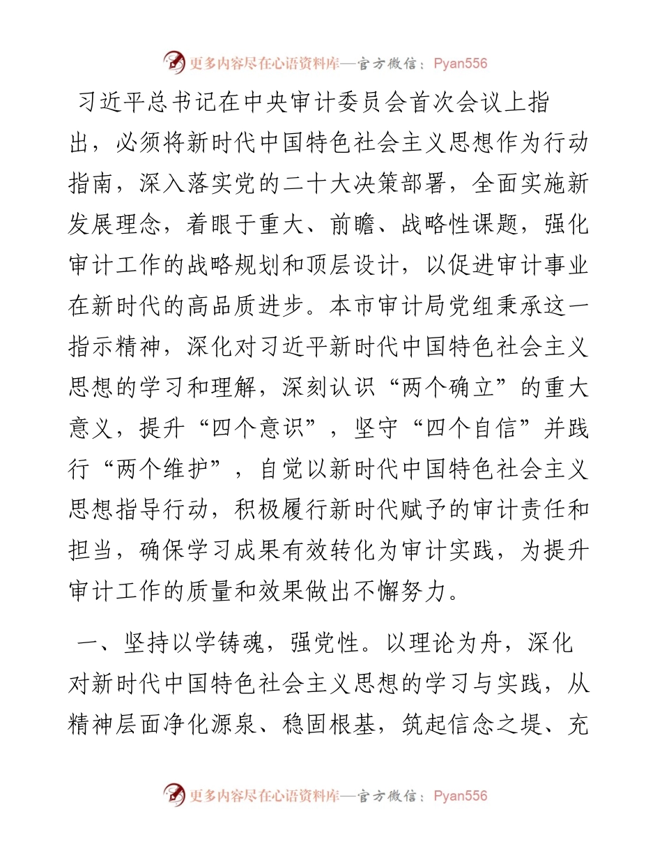 在理论中心组审计工作专题研讨会上的交流发言.docx_第1页