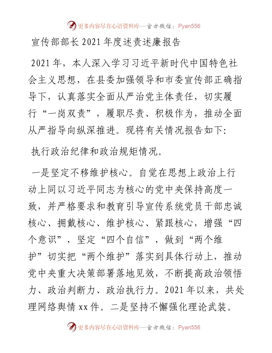 宣传部部长度述责述廉报告.docx_第1页