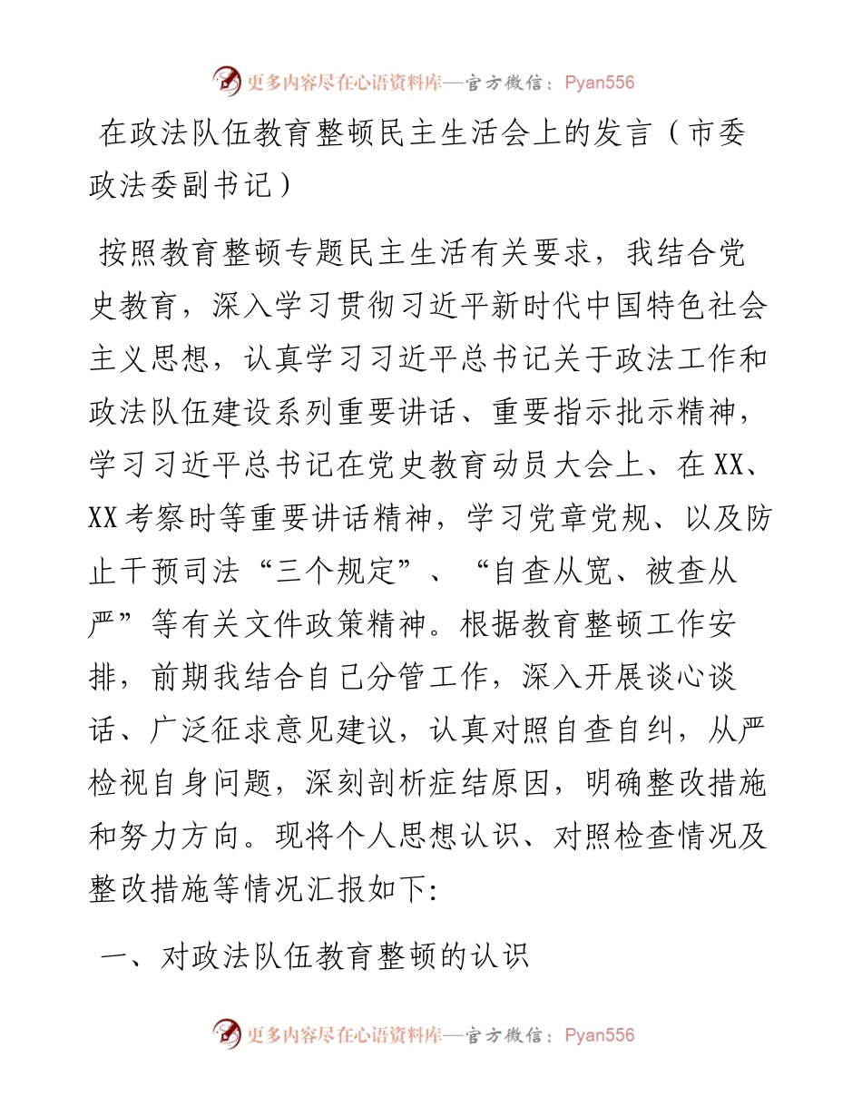 在政法队伍教育整顿民主生活会上的发言（市委政法委副书记）(1).docx_第1页