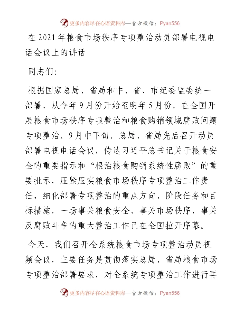 在粮食市场秩序专项整治动员部署电视电话会议上的讲话发言材料.docx_第1页
