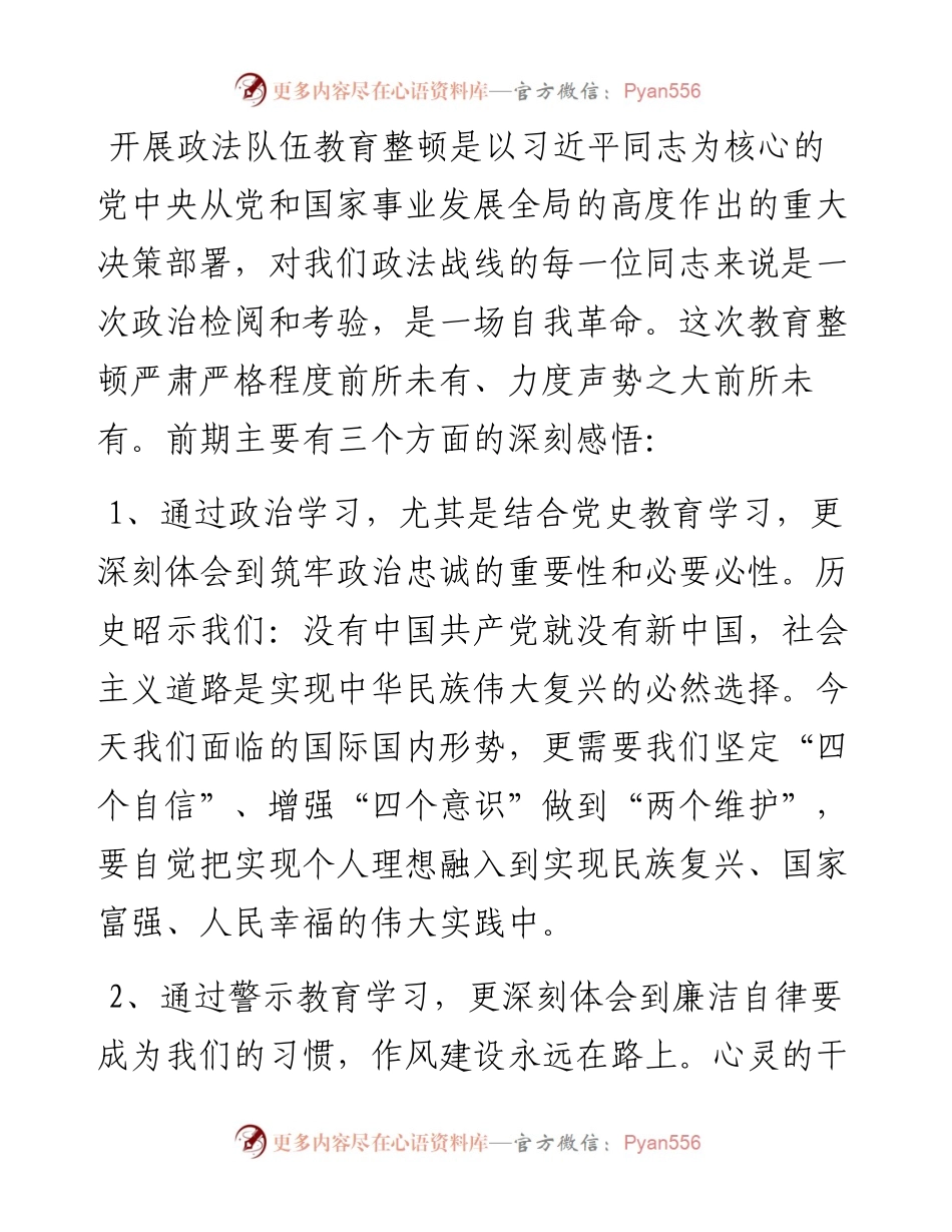 在政法队伍教育整顿民主生活会上的发言（市委政法委副书记）.docx_第2页