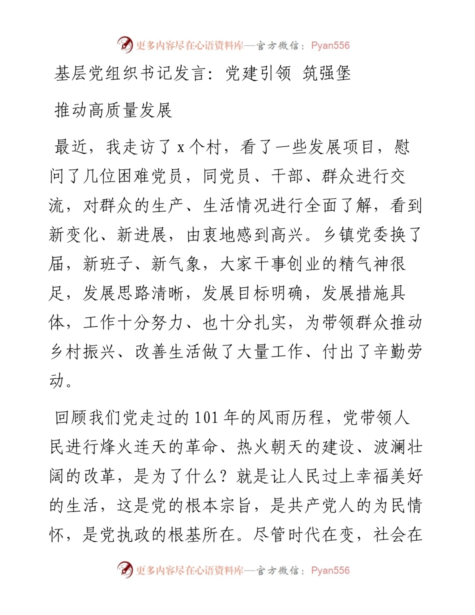 基层党组织书记发言：党建引领 筑强堡 推动高质量发展.docx_第1页