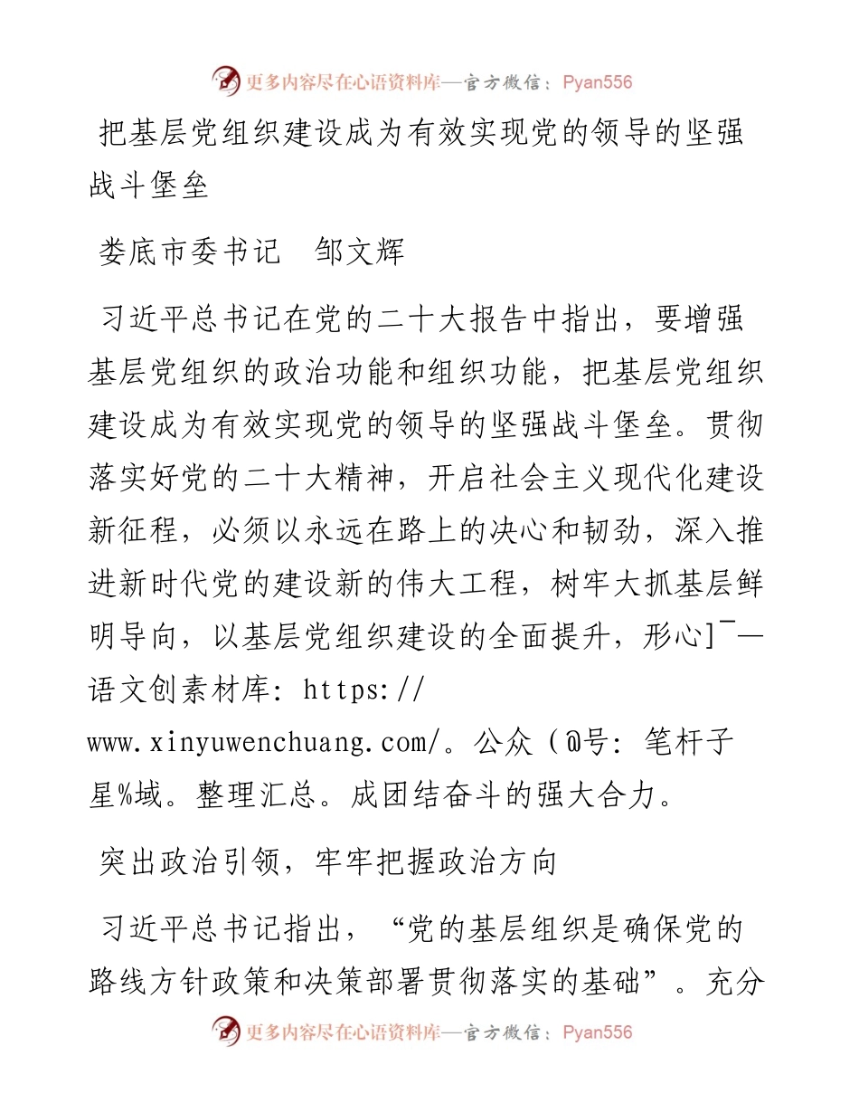 娄底市委书记邹文辉：把基层党组织建设成为有效实现党的领导的坚强战斗堡垒.docx_第1页