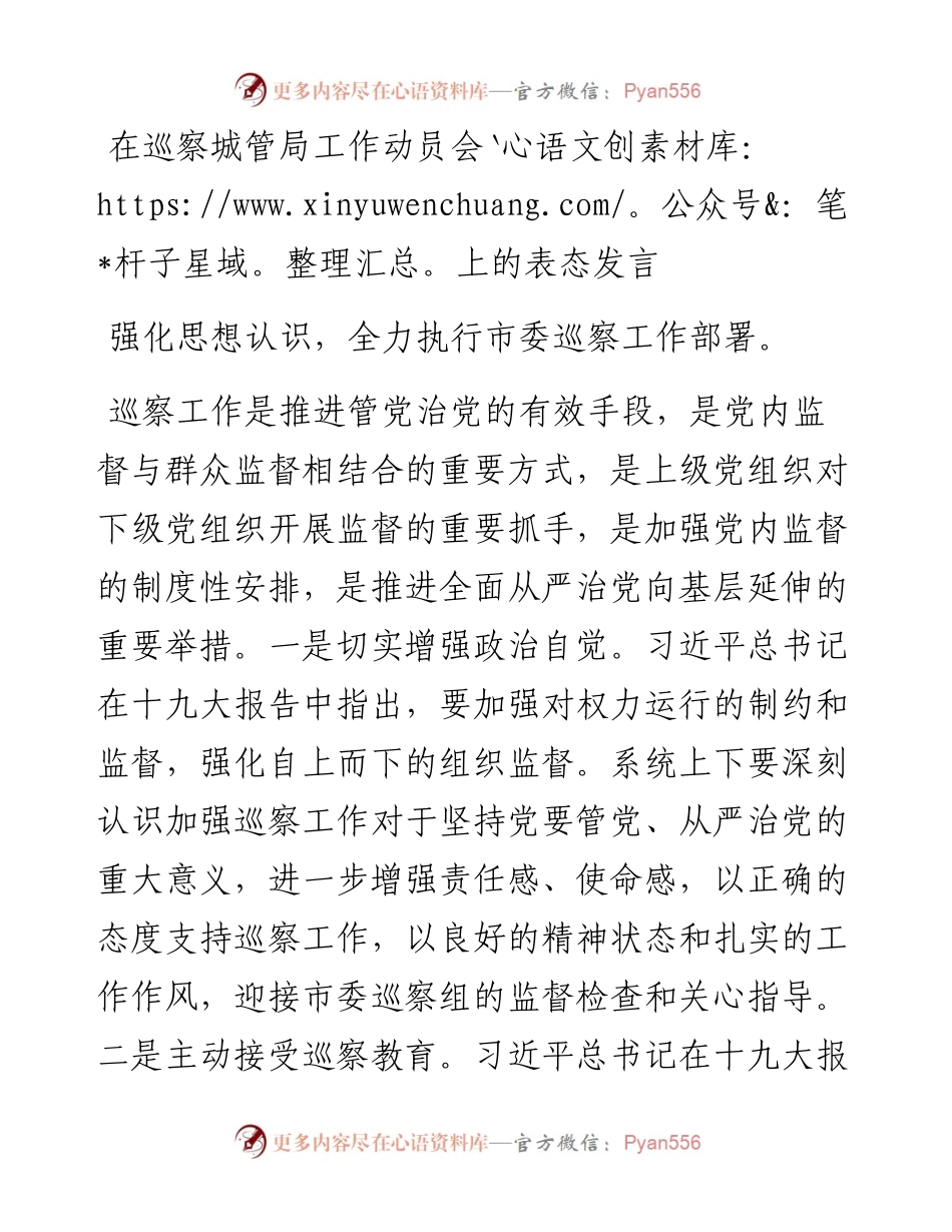 在巡察城管局工作动员会上的表态发言.docx_第1页