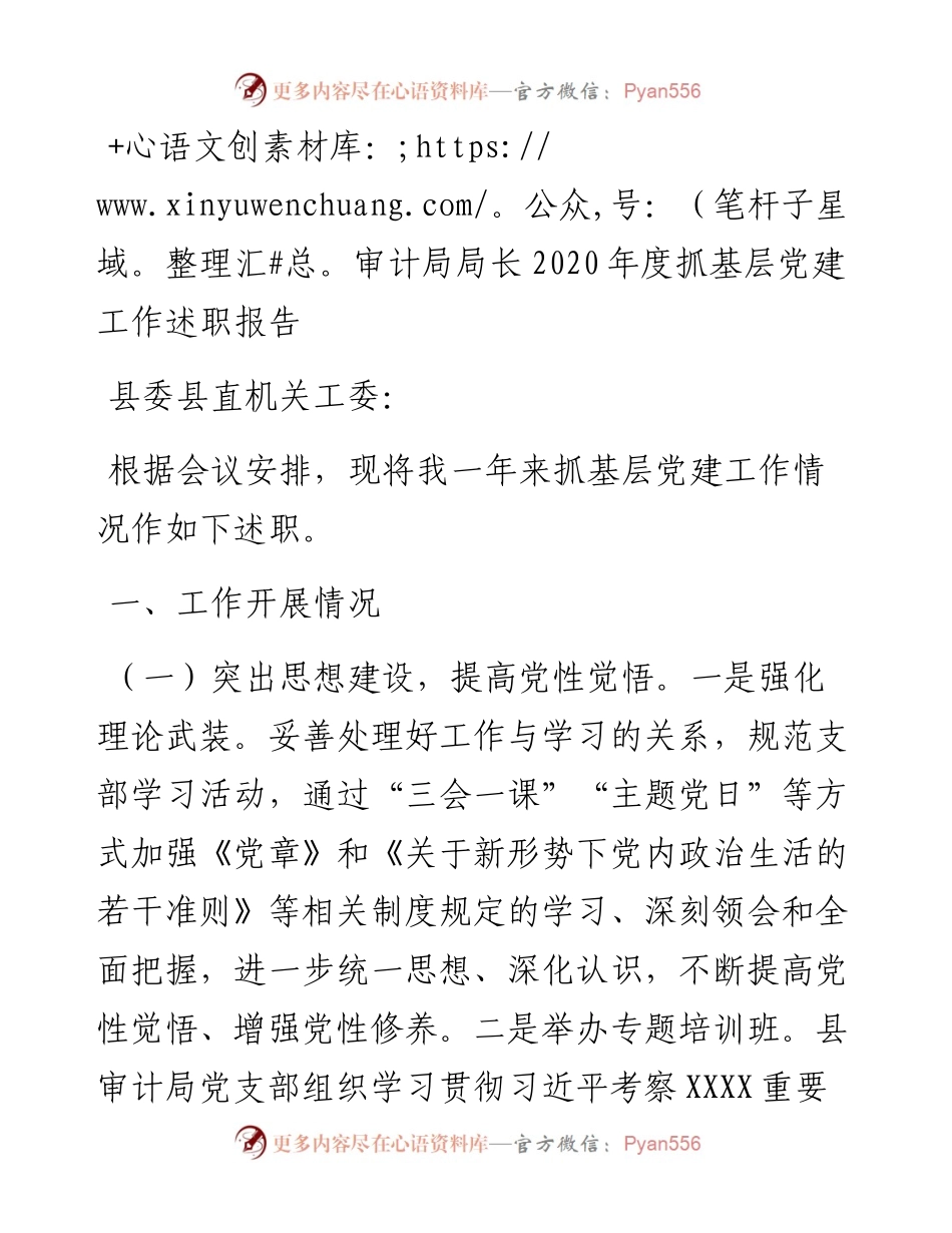 审计局局长度抓基层党建工作述职报告.docx_第1页