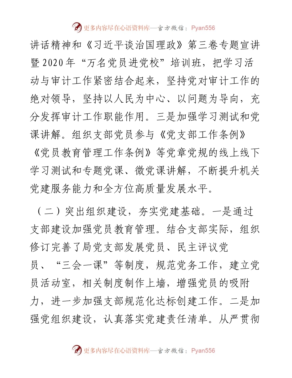 审计局局长度抓基层党建工作述职报告.docx_第2页