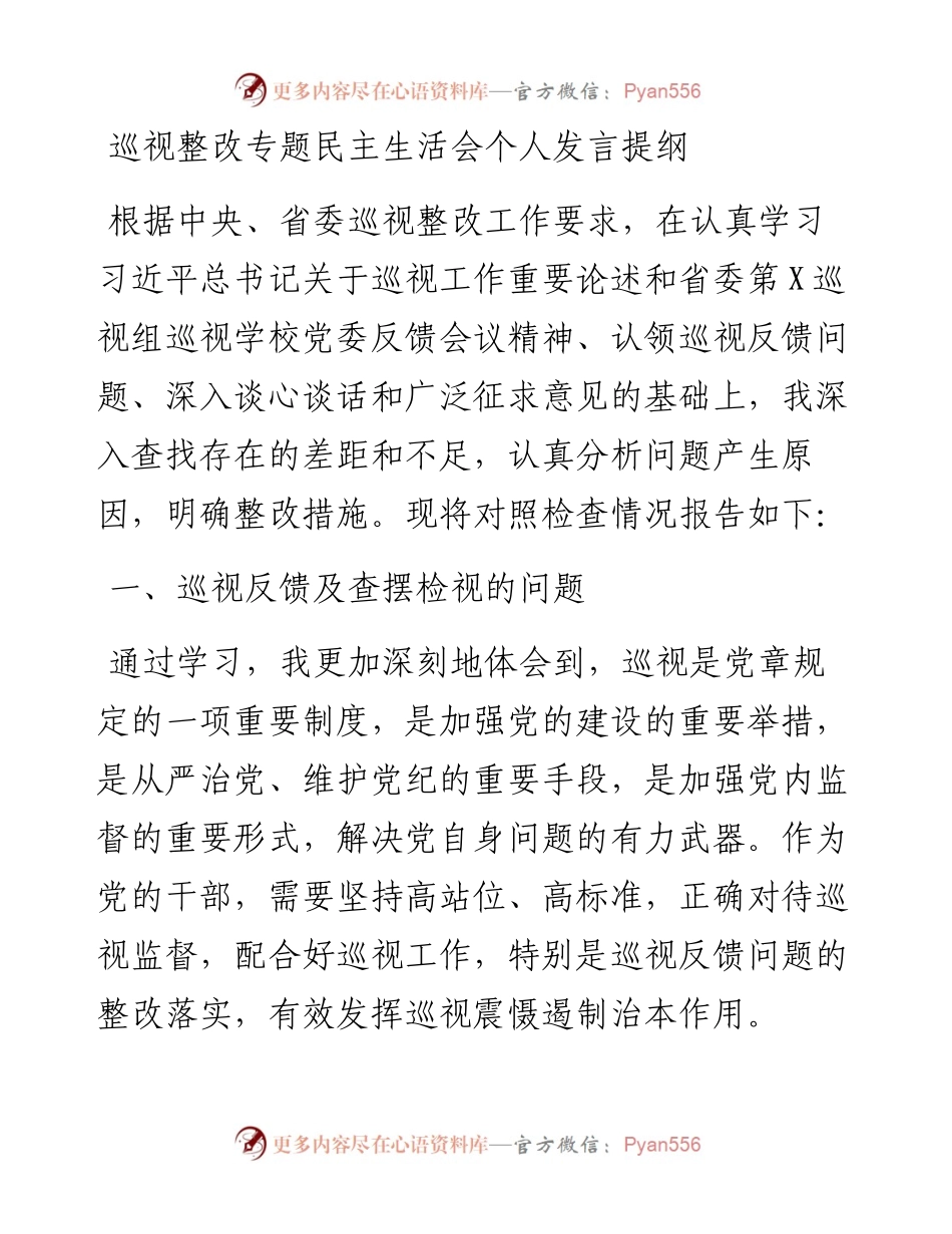 巡视整改专题民主生活会个人发言提纲.docx_第1页