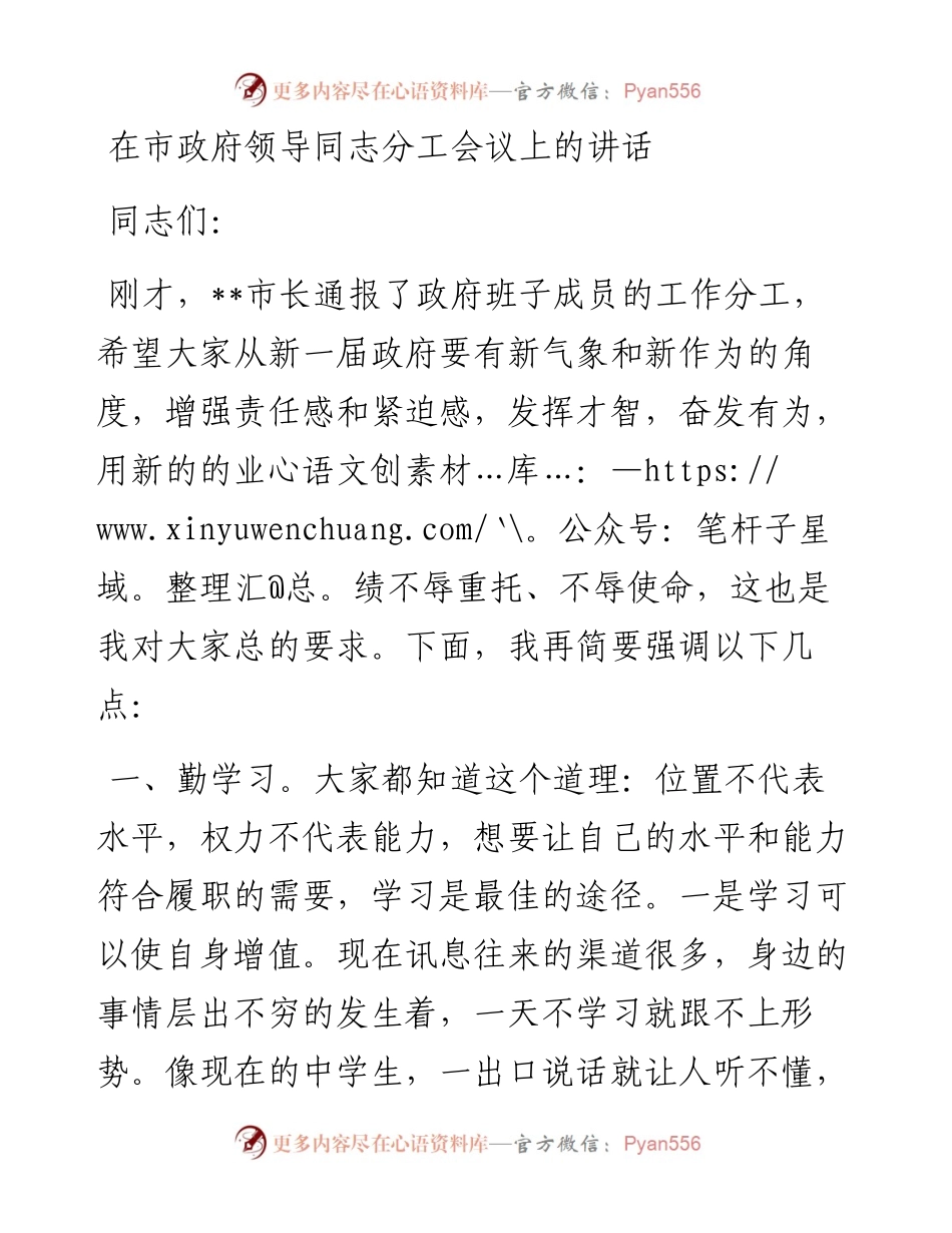 在市政府领导同志分工会议上的讲话.docx_第1页