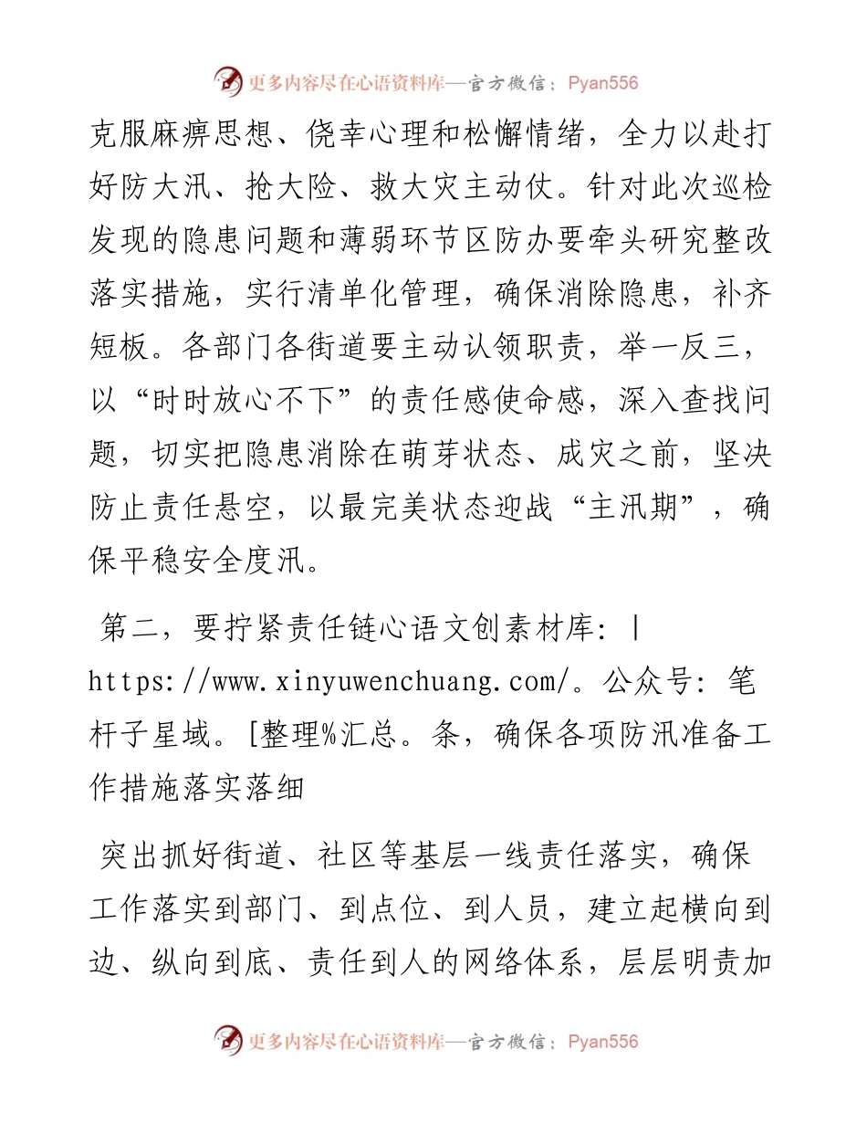 在防汛迎检反馈会上的表态发言.docx_第2页