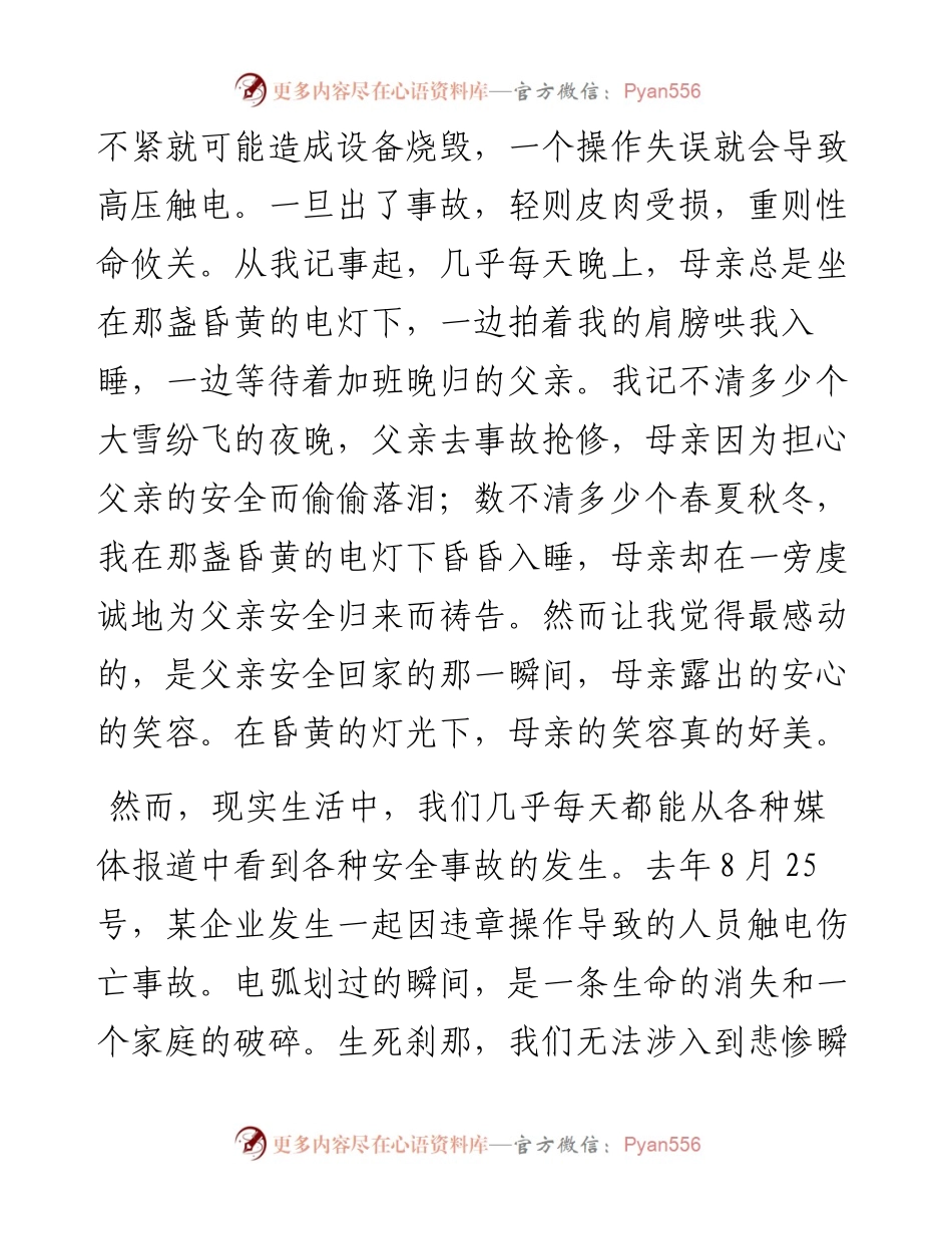 安全在我心中——电力企业安全演讲比赛.docx_第2页