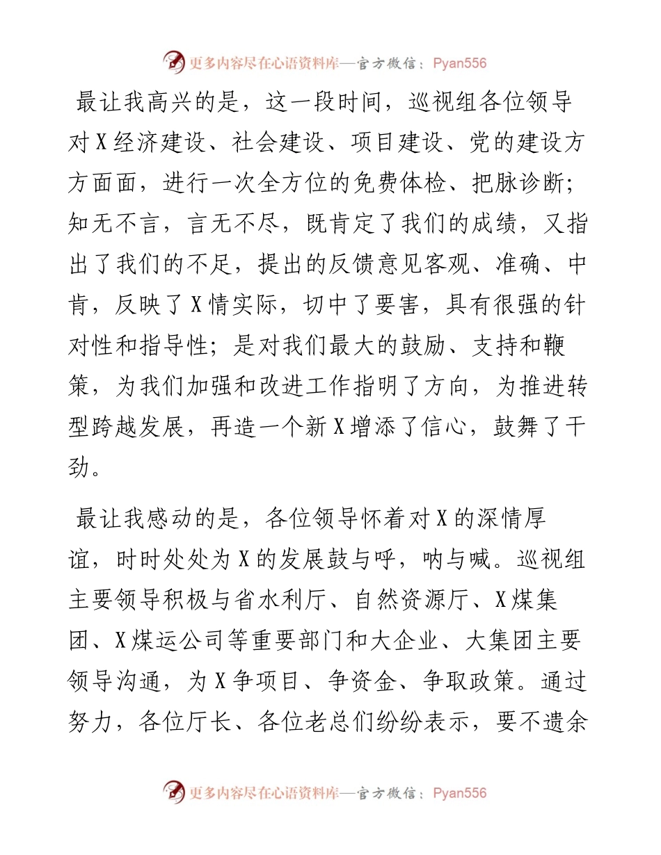 在巡视工作反馈会上的发言_4.docx_第2页