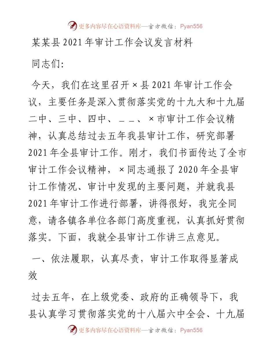 审计工作会议讲话.docx_第1页