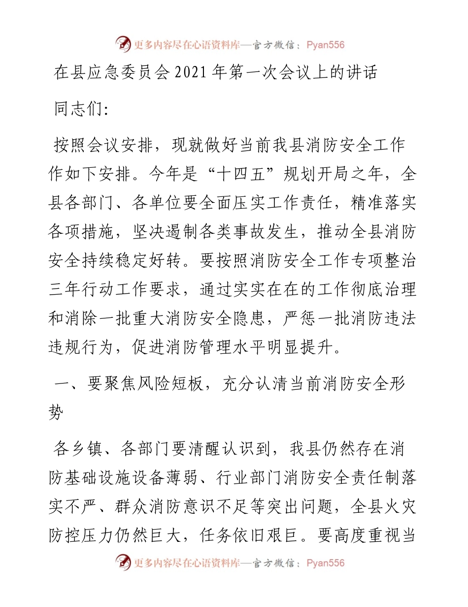 在县应急委员会第一次会议上的讲话.docx_第1页