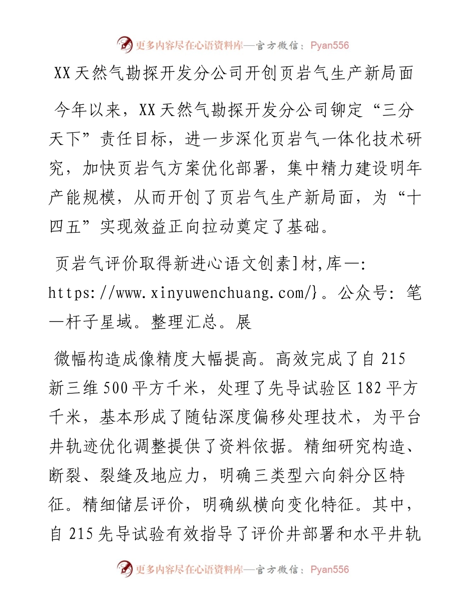 天然气勘探开发分公司开创页岩气生产新局面.docx_第1页