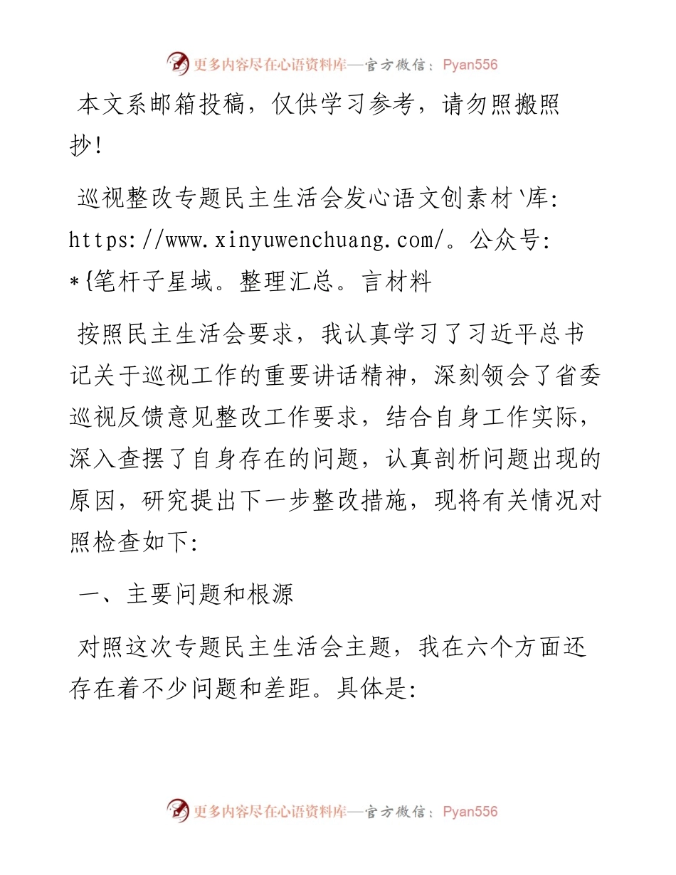 巡视整改专题民主生活会对照检查发言材料.docx_第1页