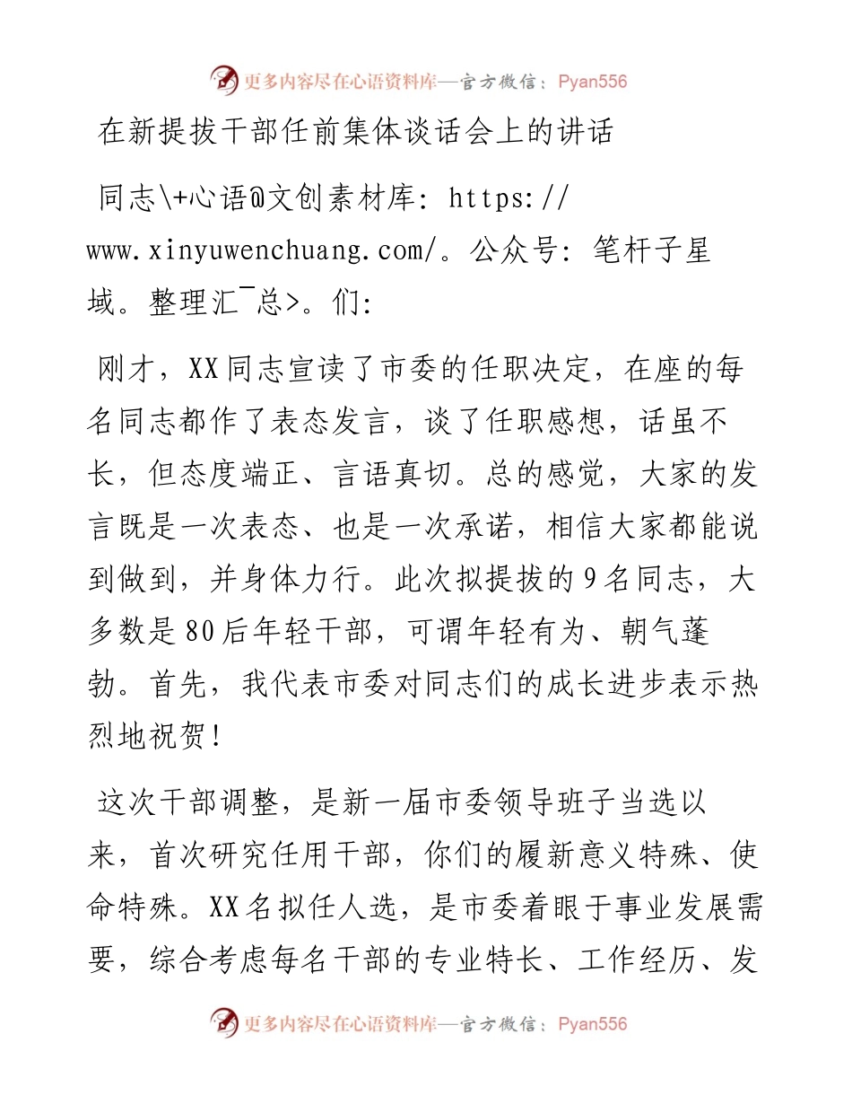 在新提拔干部任前集体谈话会上的讲话提纲.docx_第1页