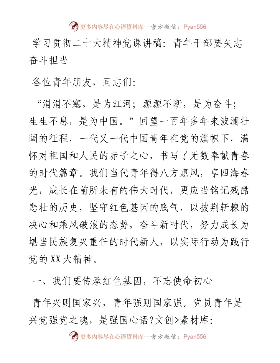 学习贯彻二十大精神党课讲稿：青年干部要矢志奋斗担当.docx_第1页