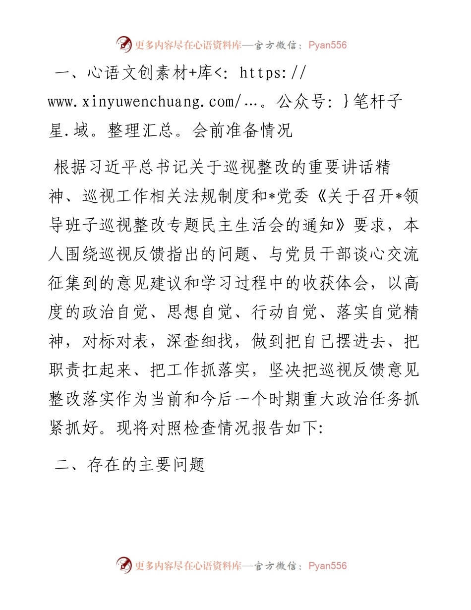 央企党委副书记巡视整改专题民主生活会个人发言提纲.docx_第1页