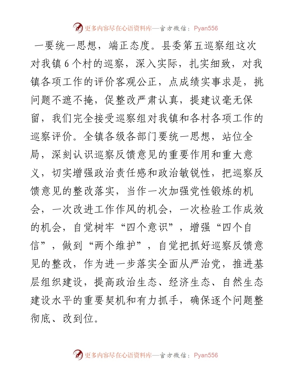 在县委第五巡察组巡察镇问题反馈会议上的表态发言.docx_第2页
