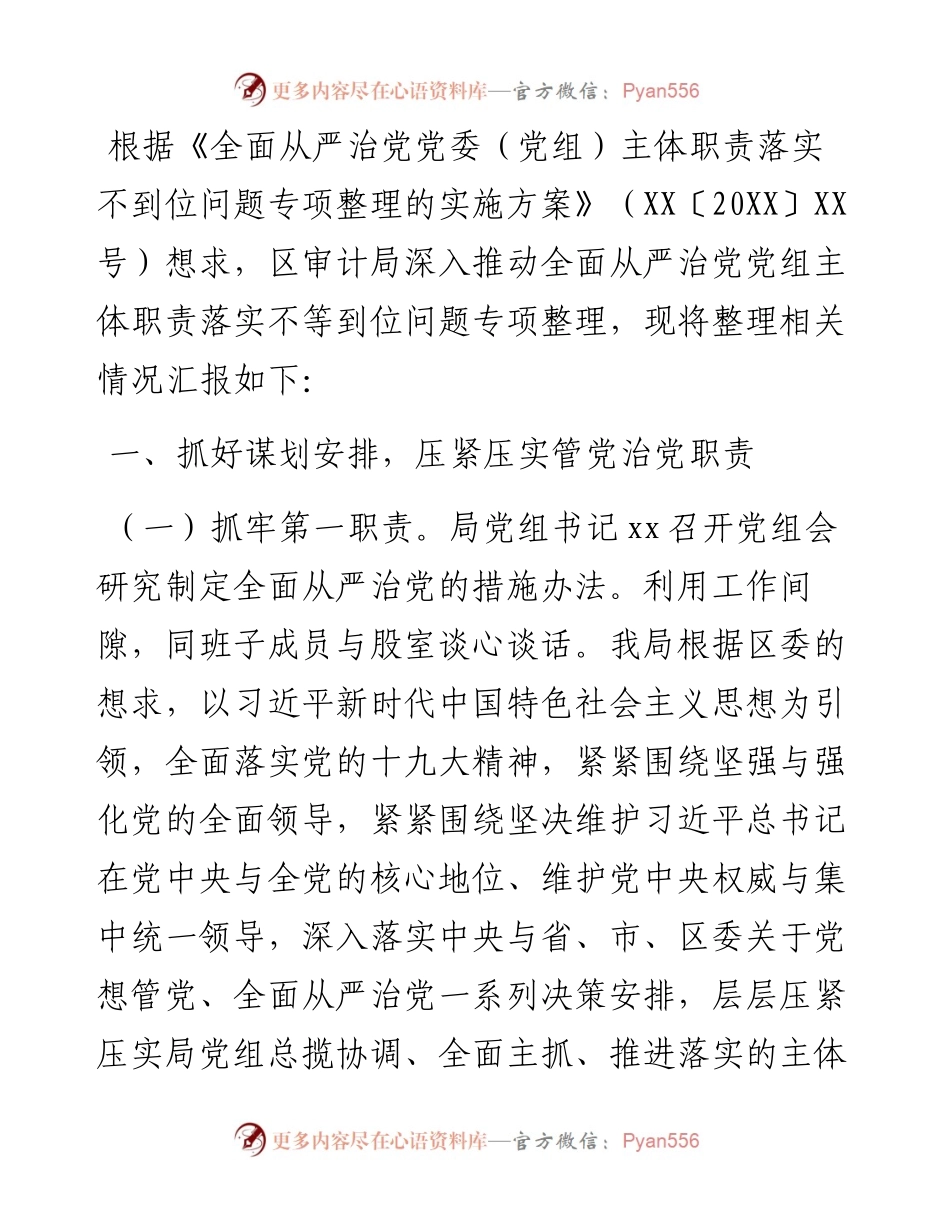 审计局全面从严治党党组主体职责落实不够到位问题专项整理情况汇报.docx_第1页