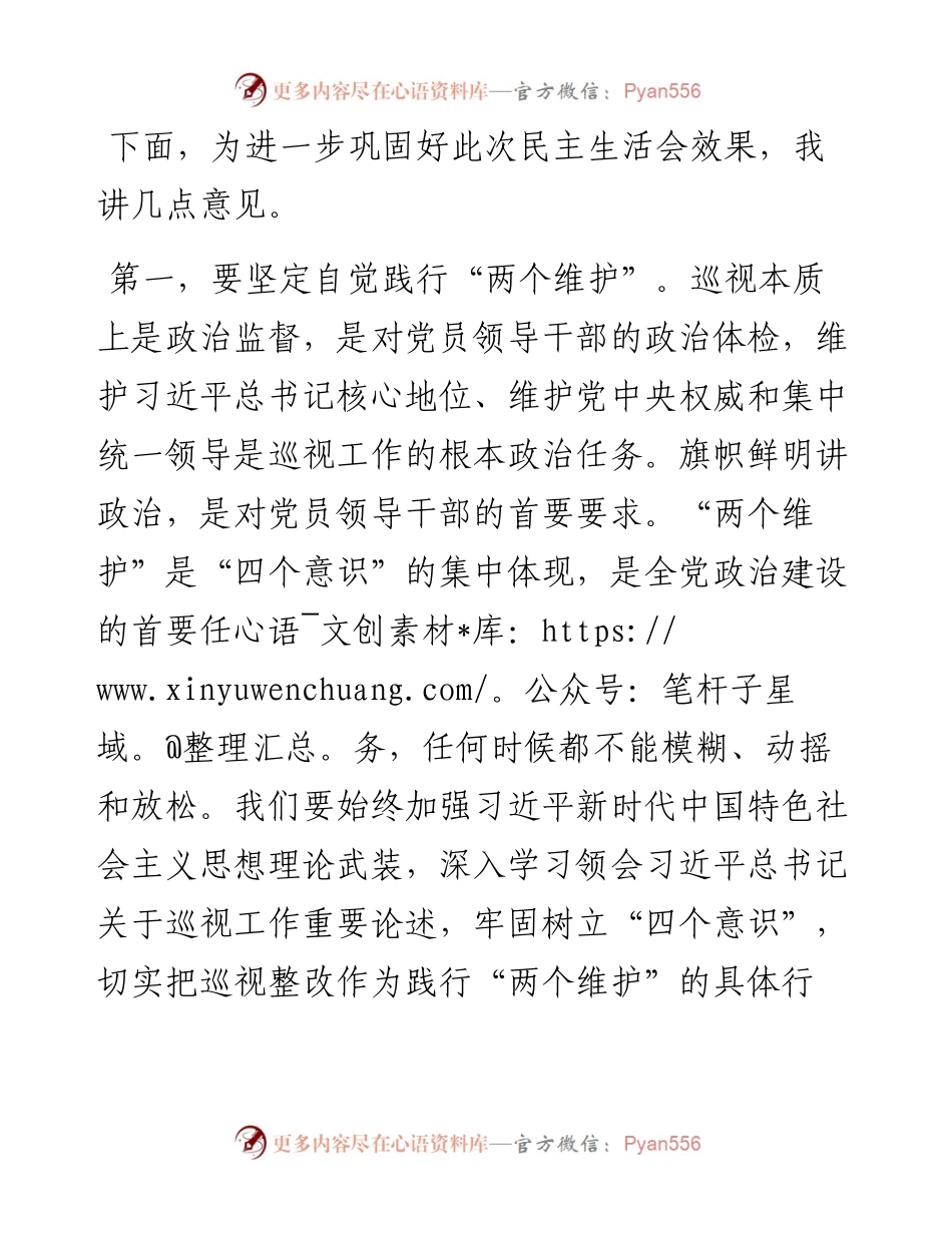 在巡视整改专题民主生活会上的讲话.docx_第2页