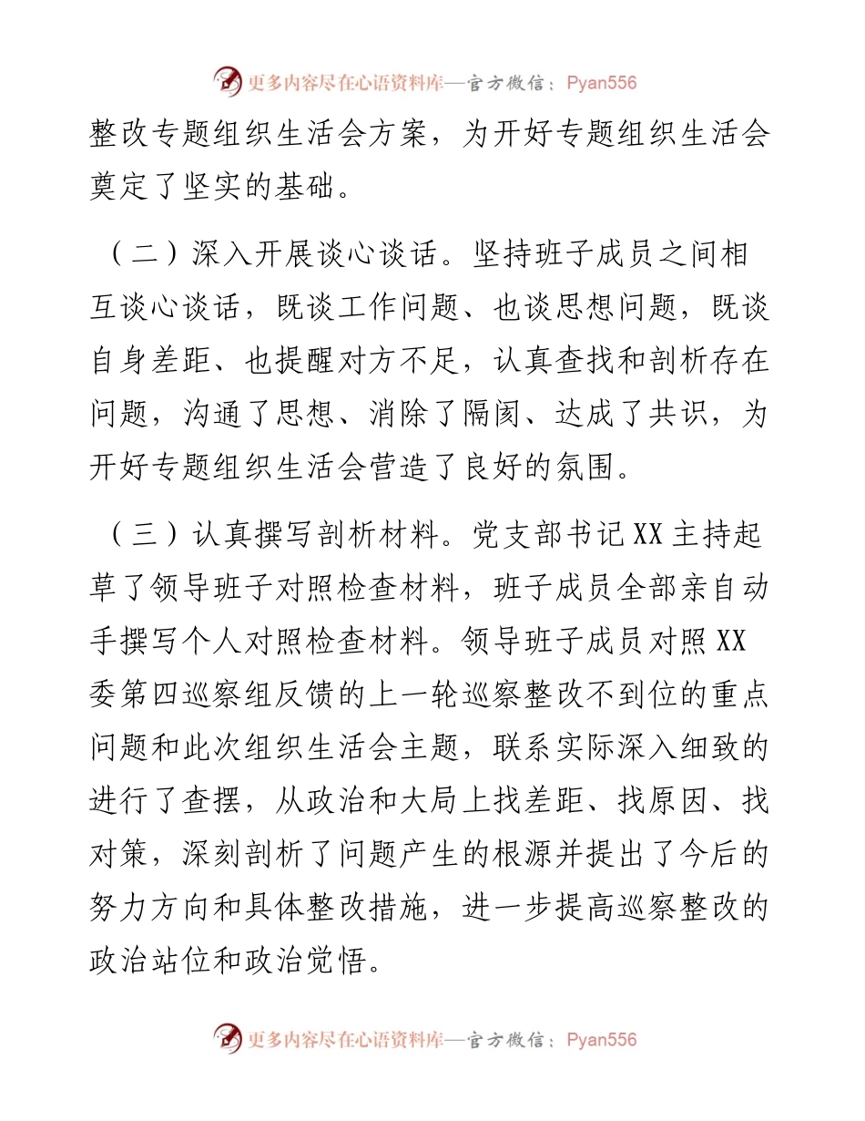 巡察整改专题组织生活会剖析检查材料.docx_第2页