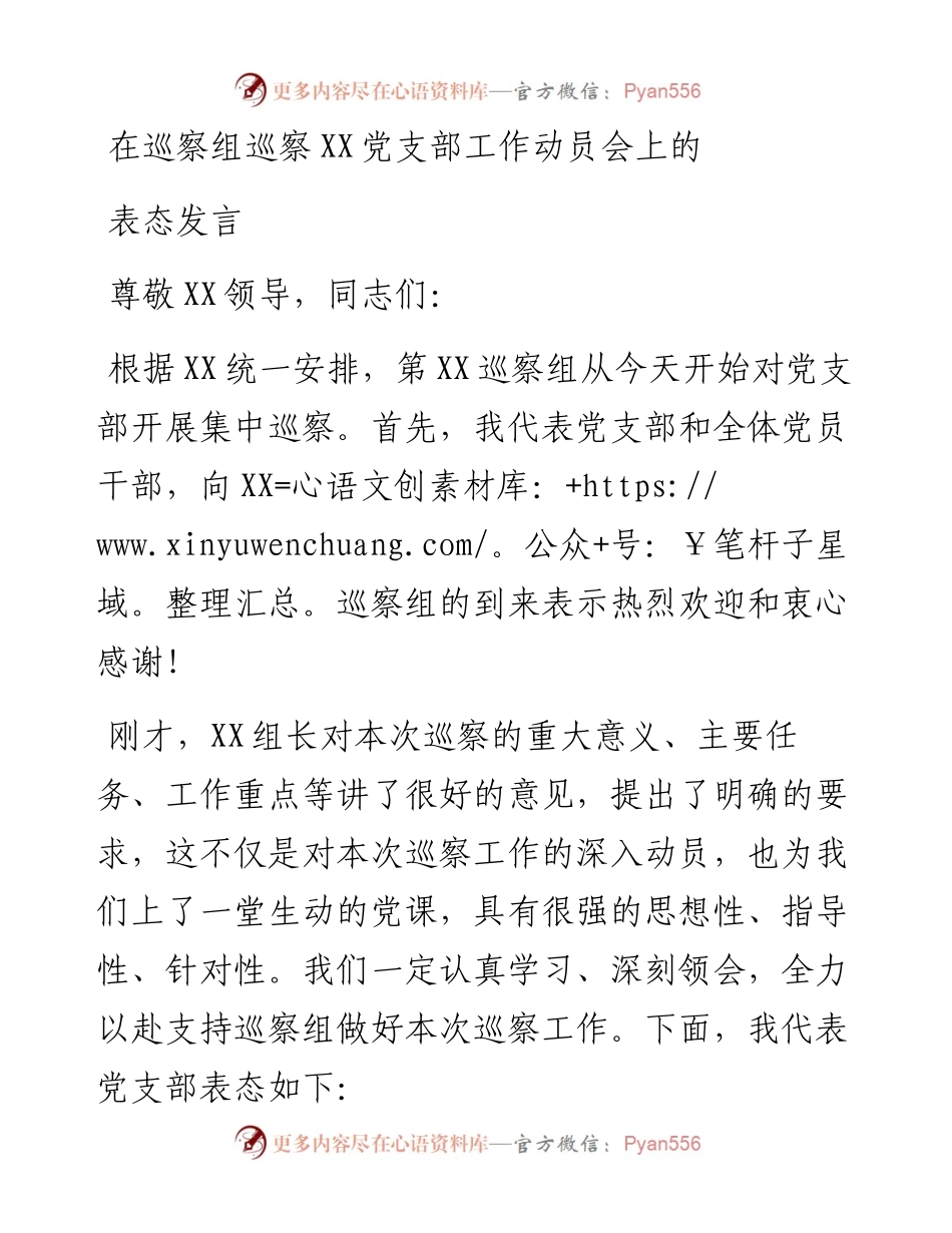 在巡察组巡察党支部工作动员会上的表态发言.docx_第1页