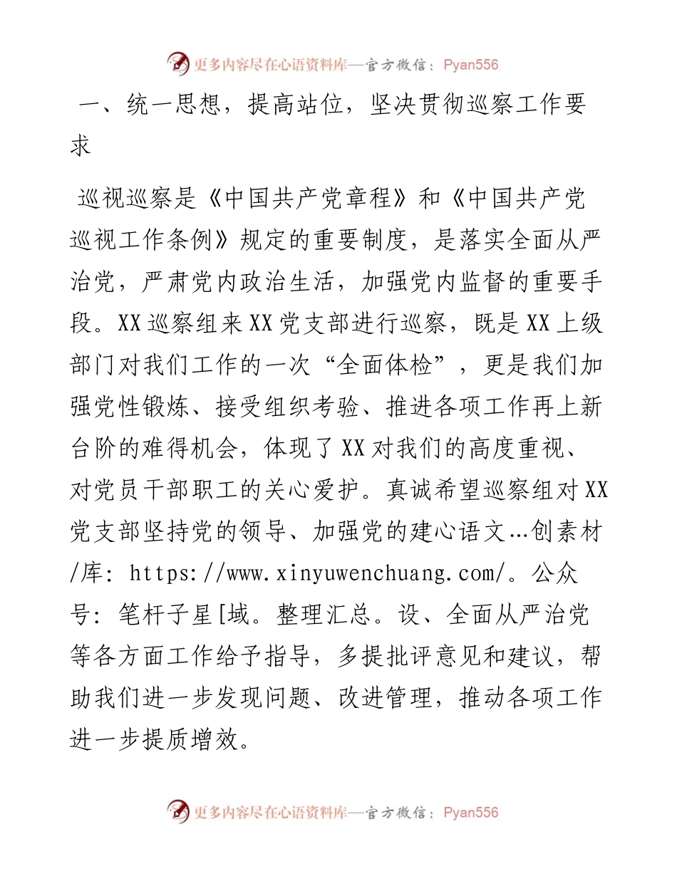 在巡察组巡察党支部工作动员会上的表态发言.docx_第2页