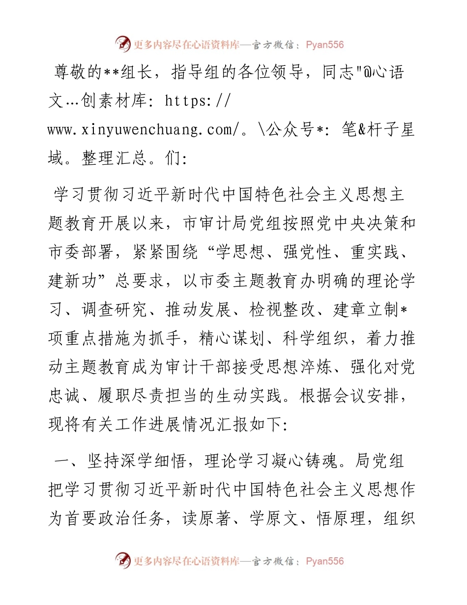 审计局在巡回指导组主题教育总结评估座谈会上的汇报发言.docx_第1页