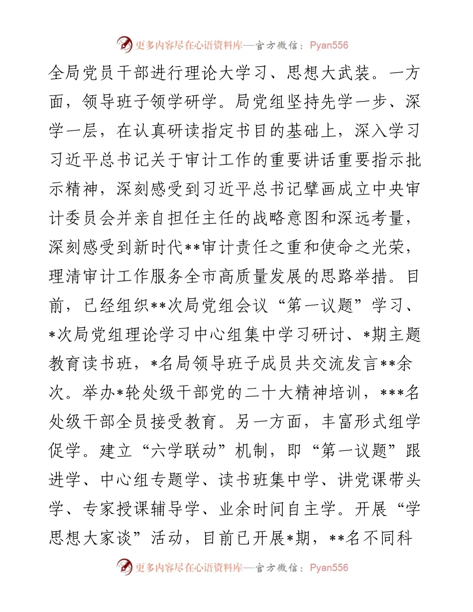 审计局在巡回指导组主题教育总结评估座谈会上的汇报发言.docx_第2页