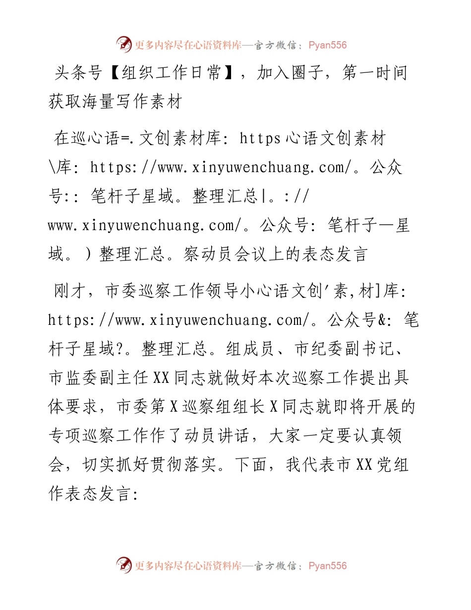 在巡察工作动员会议上的表态发言（范文）.docx_第1页