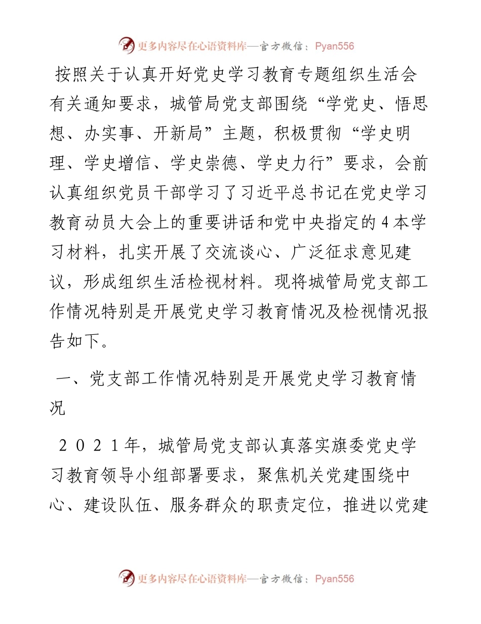 城市管理综合行政执法局党支部党史学习教育工作总结.docx_第1页